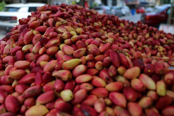 Antep fıstığının kilosu 50 liraya satılıyor