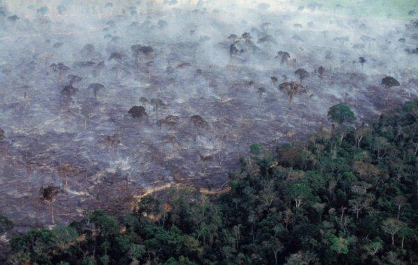 Bolivya'dan Amazon ormanları üzerinden uçuşlara yasak