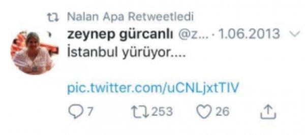 Nalan Apa'nın tepki çeken paylaşımları