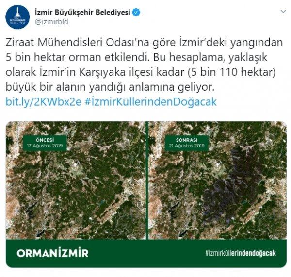 İzmir'de belediyeye göre 5 bin hektar alan kül oldu