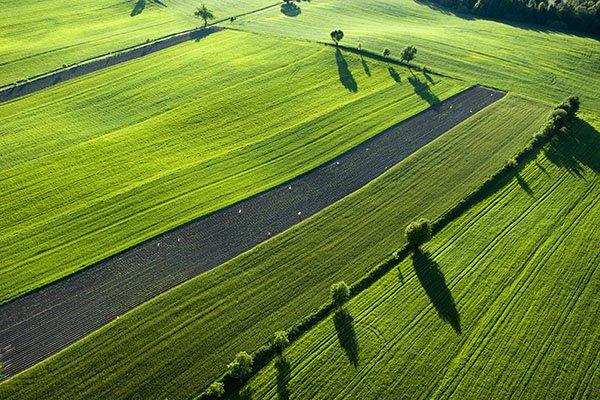 2023 yılına kadar 8 milyon hektar toplulaştırılacak
