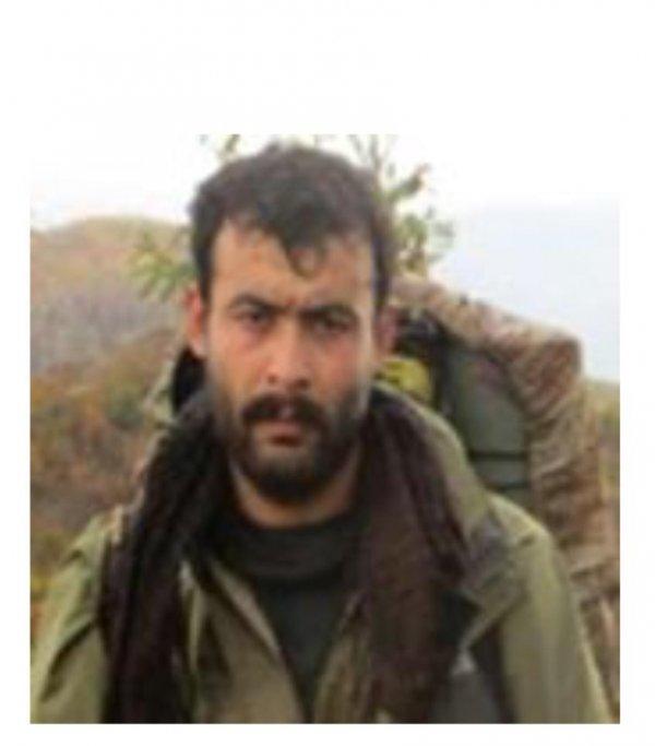 Siirt'te öldürülen terörist 300 bin TL ödüllü çıktı