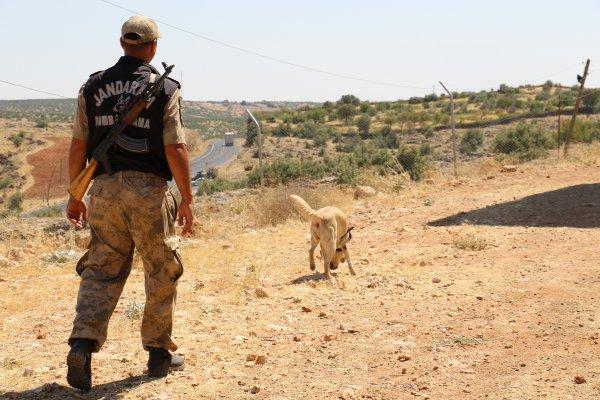 Cingöz ve Miki teröristlerin korkulu rüyası haline geldi