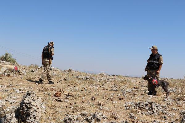 Cingöz ve Miki teröristlerin korkulu rüyası haline geldi