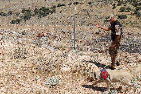 Cingöz ve Miki teröristlerin korkulu rüyası haline geldi