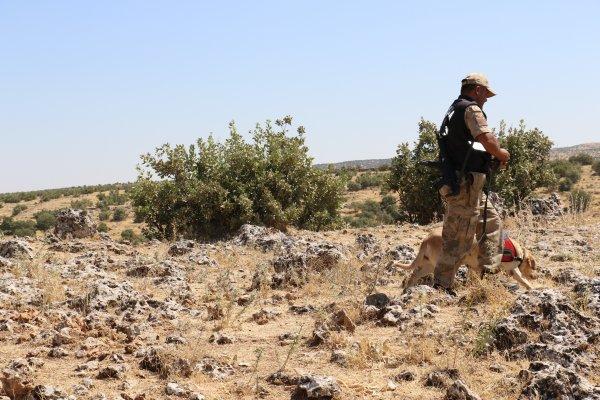 Cingöz ve Miki teröristlerin korkulu rüyası haline geldi