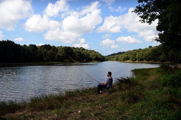 İstanbul'daki Göktürk Göleti'ni görenler hayran kalıyor