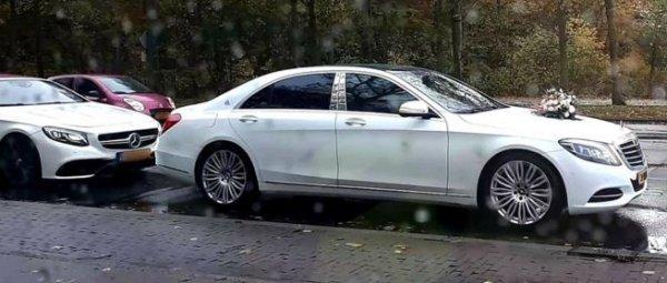 Hollanda'da düğün konvoyuna müdahale eden polisi dövdüler