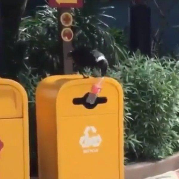 Işın Karaca: Çocuklarımızın arkasını toplamak sevgi değil