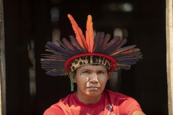 Amazon'da çıkan yangın sayısında büyük artış