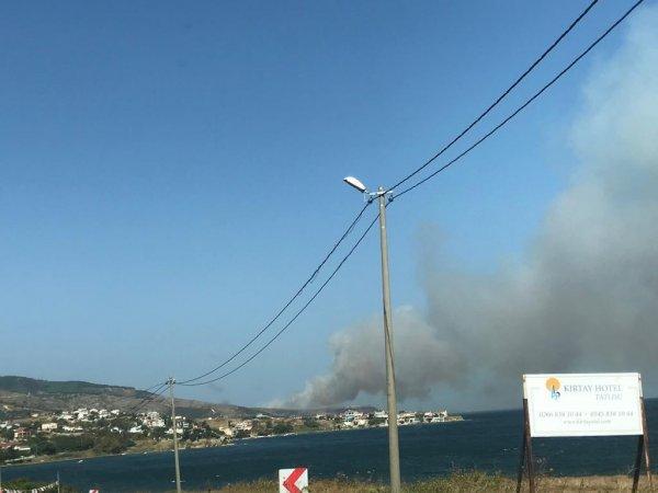 Balıkesir'de 15 dekar çalılık alan yandı