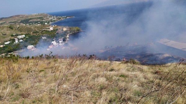 Balıkesir'de 15 dekar çalılık alan yandı