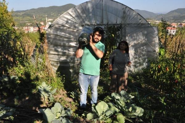 Bahçesine ektiği Çin salatalığı 1 metreye ulaştı