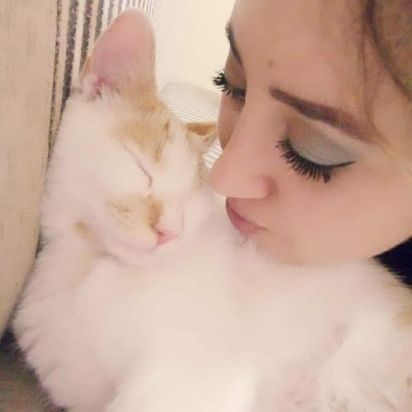 Konya'da kedinin kanıyla çeşme mermerine yazı yazdılar