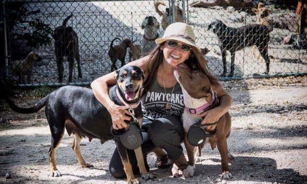 Kasırgadan kaçan 97 köpeği evine aldı