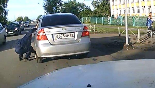 Yavru kediyi görmeyen Rus sürücü kediyi eziyordu