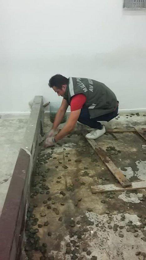 Sınır kapısında 2 bin 500 kaplumbağa bulundu