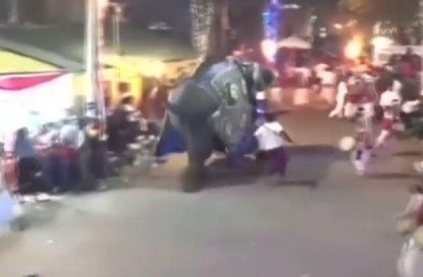 Sri Lanka'da ürken fil insanları ezdi