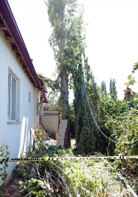 Kestiği kavak ağacının dallarına başı sıkışan kişi öldü