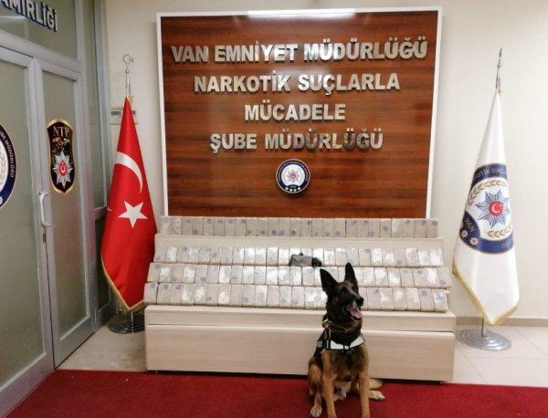 Narkotik köpeği 'Kara' 50 kilo eroin buldu