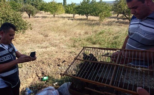 Çanakkale'de 132 bin liralık kuş avı cezası aldı