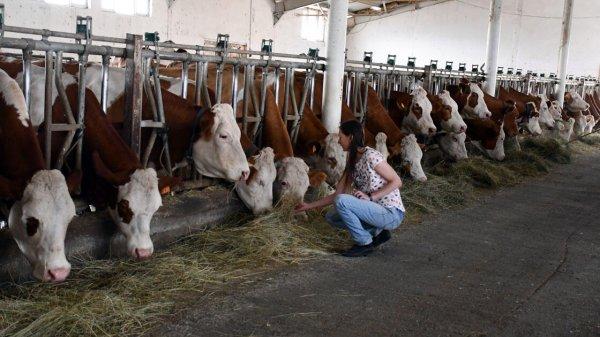 Çalışmak için Avustralya'dan Ağrı'ya geldi