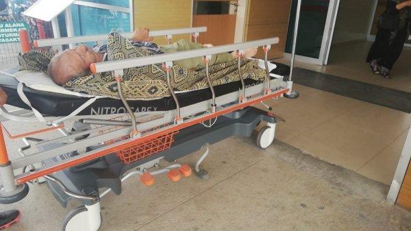 Bursalı yaşlı adam ceviz toplarken ölümden döndü