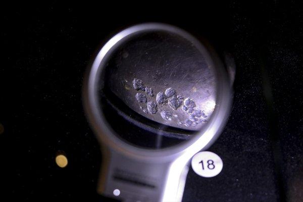 2500 yıllık 'Altın Elbiseli Adam' Türkiye'de sergileniyor