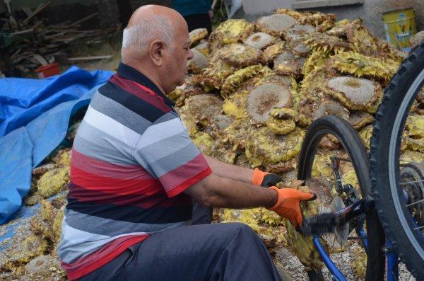 Kayseri'de bisikletle çekirdek ayıklama yöntemi