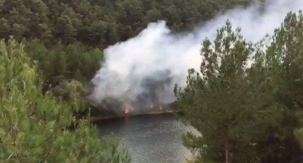 Bafra'da piknikçiler orman yangınına sebep oldu