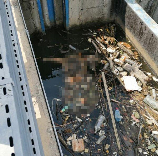 HES barajında kadın cesedi bulundu