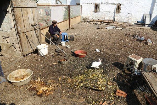 90 yaşında, hayvanlar için her gün 2 kilometre yürüyor