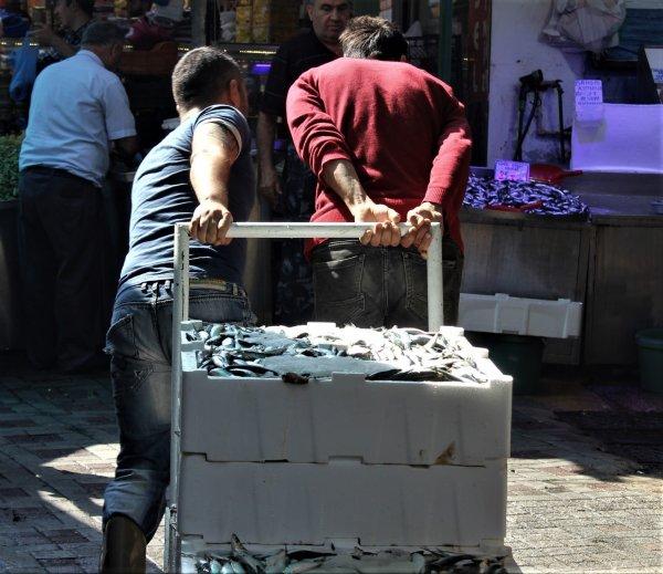 Sardalya şu an tezgahın en ucuz balığı oldu