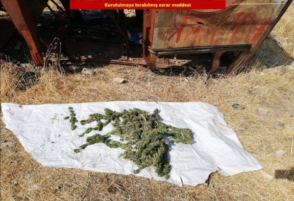 1 ton esrar, 6 milyon 718 bin kenevir ele geçirildi