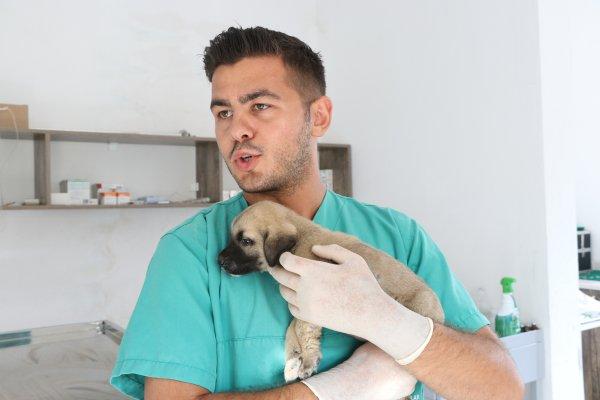4 yavru köpeği çuvala koyup kuyuya attılar