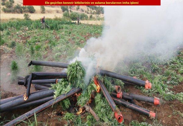 1 ton esrar, 6 milyon 718 bin kenevir ele geçirildi