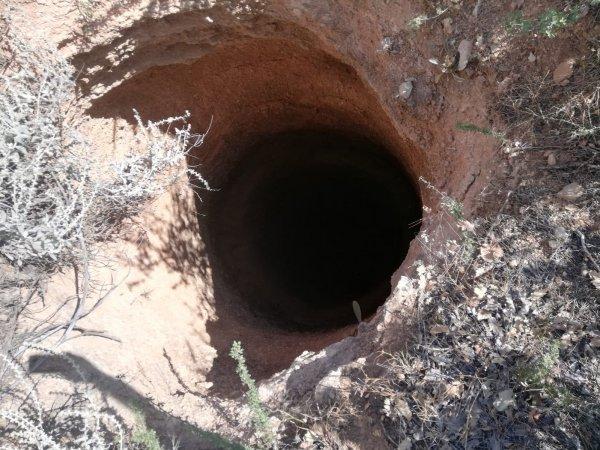 4 yavru köpeği çuvala koyup kuyuya attılar