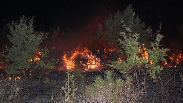 Tekirdağ'da 200 dönümlük orman kül oldu