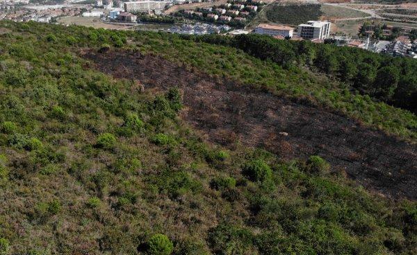 Kundaklanan Aydos Ormanı'ndaki tahribat görüntülendi