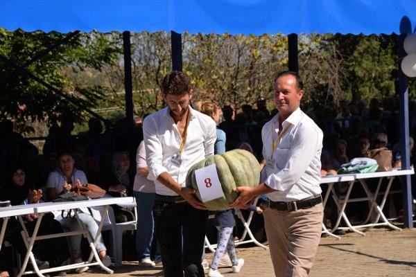 30 kiloluk kabak 20 bin TL'ye satıldı