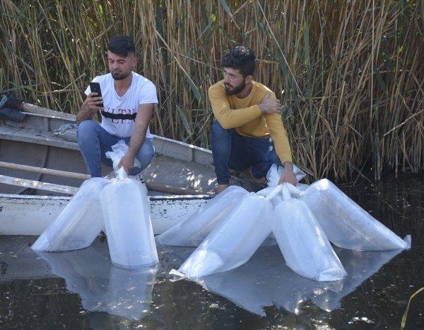 Gölhisar'da 2 bin yayın balığı göle bırakıldı