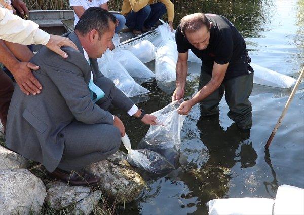 Gölhisar'da 2 bin yayın balığı göle bırakıldı