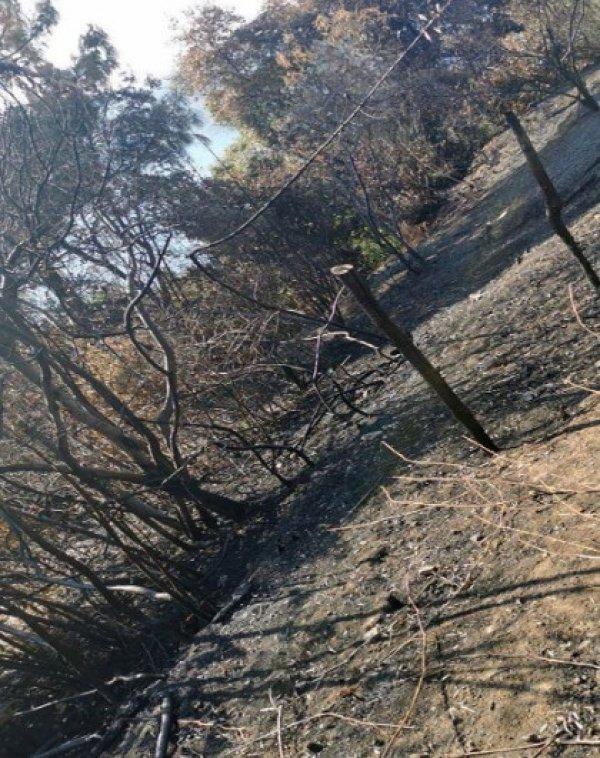 Beykoz'da 3 ayrı yerde çıkan yangın söndürüldü