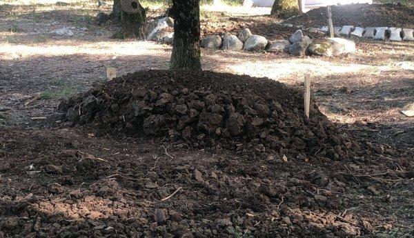 9 yaşındaki Suriyeli çocuk intihar etti