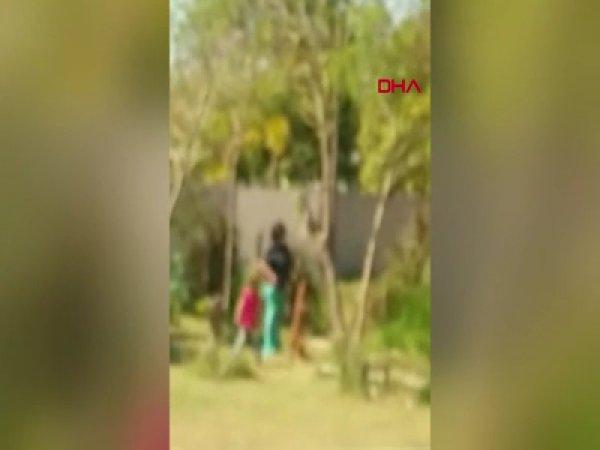 Komşusunun köpeğini vahşice öldürdü