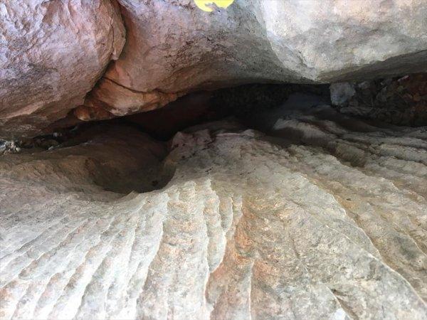 4 gündür kayalıklarda mahsur kalan oğlak kurtarıldı