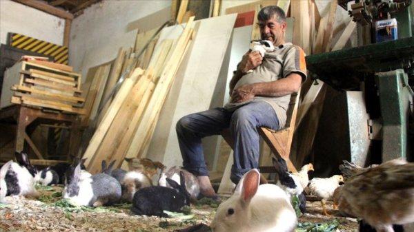 Marangozun tavşan sevgisi