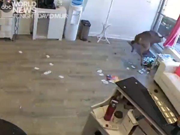 New York'ta kuaföre dalan davetsiz misafir