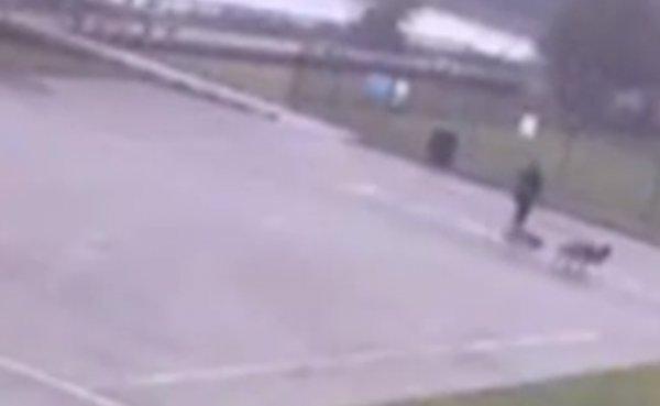 ABD'de yolda yürüyen adama yıldırım çarptı