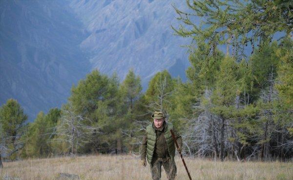 Putin ve Şoygu ormanda